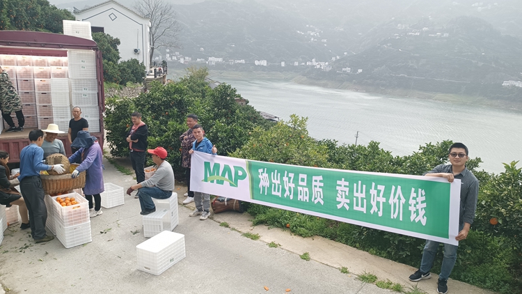 IMG_20230407_151547(1)