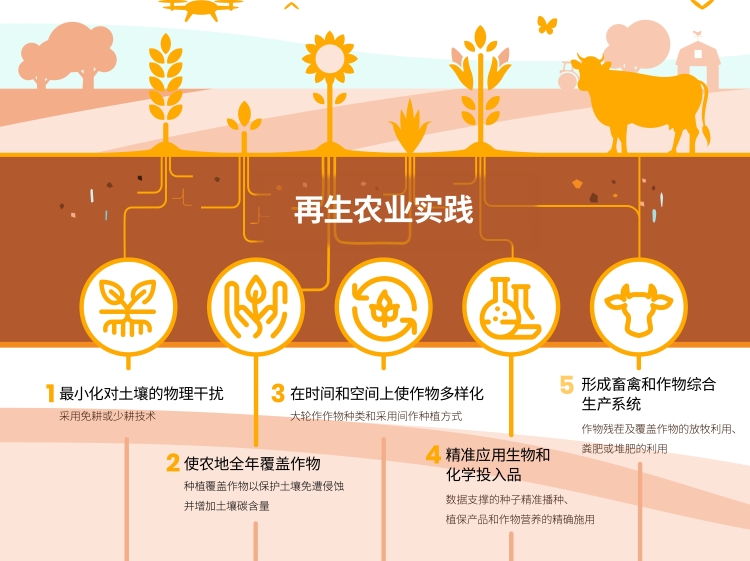 新宝GG—创造奇迹平台