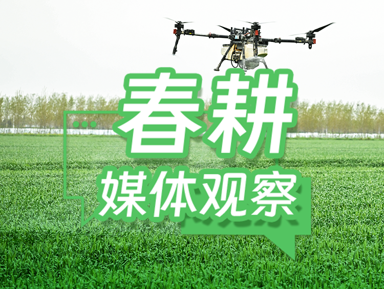迎“大考”闯“三关”，筑牢小麦稳产防线
